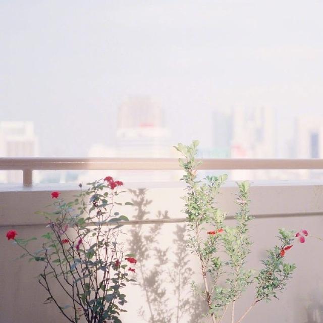 你不需要原谅，但你需要放下-蓓伊博客